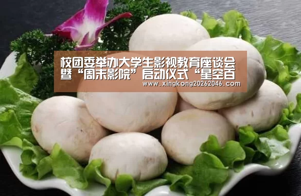 星空体育