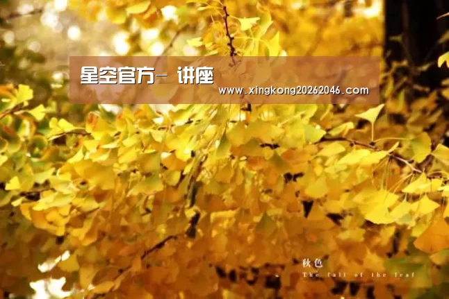 星空百家乐